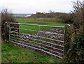 Gate and Field