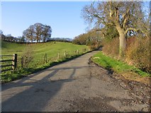 SP6687 : Lane from Theddingworth to Laughton Hills by Andrew Tatlow
