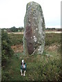 Rhos y Clegyrn: small dog, big stone