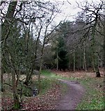 SP9232 : Path into Buttermilk Wood near Lowe's Wood by Rob Farrow