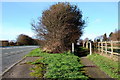 A51 and Adjacent Footpath