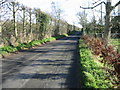 Looking SE along Bekesbourne Lane.