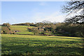 Fields and properties on Grosvenor Road, Soldridge seen from Gullet Lane byway