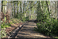 Gullet Lane byway passing through Gullet Wood