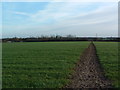 Footpath to Chapel Farm