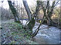 Footbridge over the Afon Alun/River Alyn