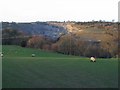 Hendre Quarry, Flintshire