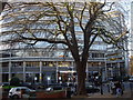 Leicester City Council Buildings, New Walk