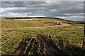 Rutted Field Gateway