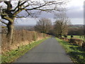 The road from Stock Beck Moor to Kirkby Malzeard