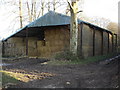 Barn south of Paradise Farm Stud