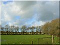 SP2507 : Treeline and clouds near Bradwell Grove by Brian Robert Marshall