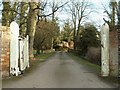 Driveway to Horseheath Lodge