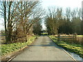 Lane near Maesbrook