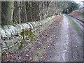 SJ2266 : Stone Wall at Gwysaney by John S Turner