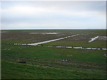  : The edge of the Ribble estuary, near Banks by Margaret Clough