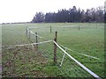 Equine pasture at Chelworth lawns