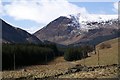 Head of Glen Clova