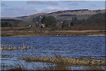 NO3554 : Loch of Kinnordy by Mike Pennington