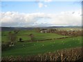 Farmland Surrounding Maes-y-glydfa