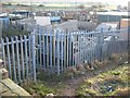 Allotments at Hetton-le-Hole