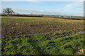 Farmland near Upper Barns Farm, near Kingswood