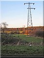 Line of pylons near Warden Law