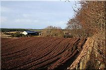 NH9655 : Boghole Farm to the northwest. by Des Colhoun