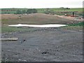 Excavations near Sharpley Hall Farm