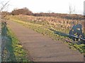 National Cycle Network route 1 near Seaham Grange