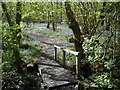 Footbridge over stream in Blakes Wood