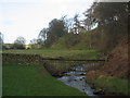 Stream passing Vicarage Quarry  Picnic Area.