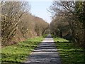 Cycle Path past RAF Chivenor