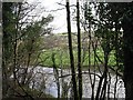 SJ0410 : The Afon / River Banwy by Roger Gilbertson