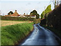 Looking N along lane near Hoaden.