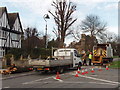 Clearing storm-felled tree, West Acton