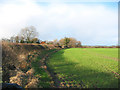 Winter afternoon sun outside Longford