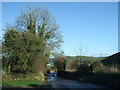 Road down into Cerne Abbas from Sydling