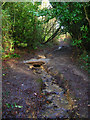 Public Byway, South of Lordswell Lane