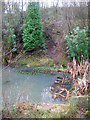 Pond, Jarvis Brook Country Park