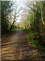 Public Byway near Cobblers Gardens