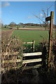 Stile and footpath from Pig Street