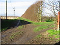 Footpath along orchard boundary, Overland Lane.