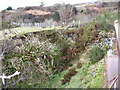 The blocked eastern adit into Chwarel Goch