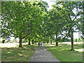 Scarlet Oak avenue in Oakwood Park, N14