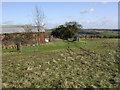 Barn and footpath to Doles Wood