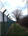 Public footpath & chainlink fence