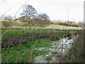 View of stream where it is crossed by 