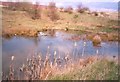 Temporary pond, Wakefield 41 Business Park, Wrenthorpe