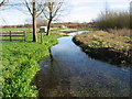 Stream feeding disused watercress beds, Garrington.